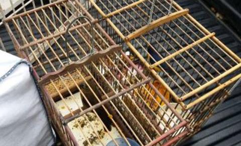 Demapa realiza campanha em prol de animais vítimas de maus-tratos e abandono