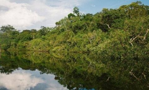 Maranhão: produção de biogás, do Amazônia+21, pode se juntar a outros projetos sustentáveis